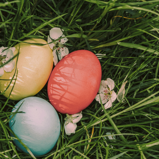 Domaine de la Bretesche