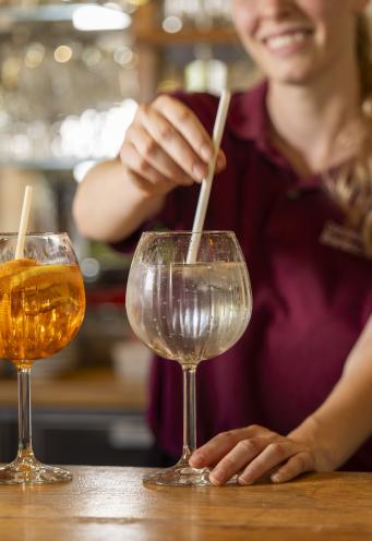 Domaine de la Bretesche