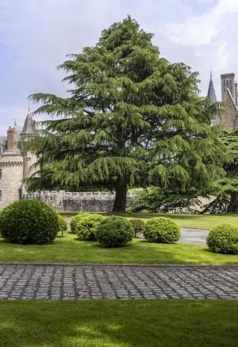 Domaine de la Bretesche