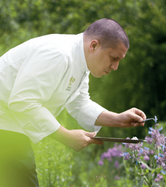 LE POTAGER DU DOMAINE, ENTRE VISITE LIBRE ET ATELIERS NATURE