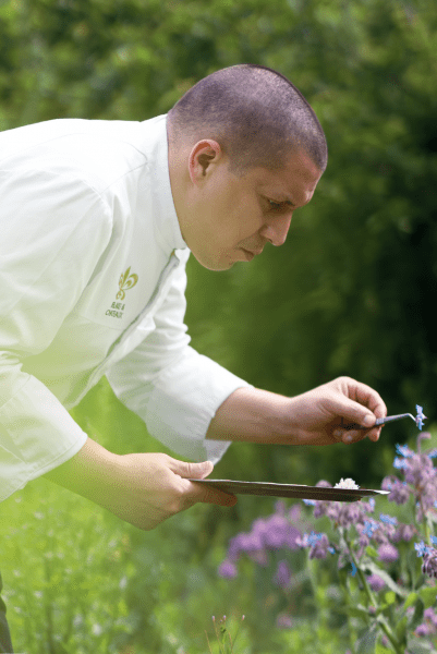chef de cuisine au potager