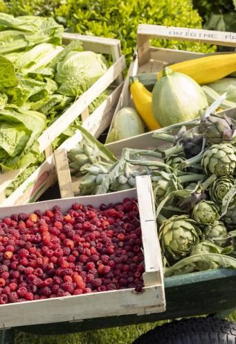 Domaine de la Bretesche