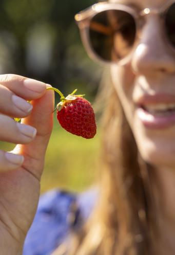Domaine de la Bretesche