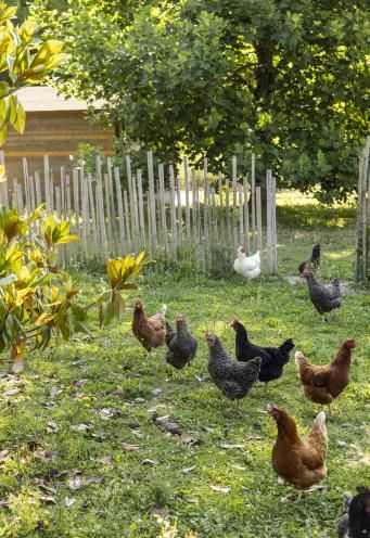 Domaine de la Bretesche