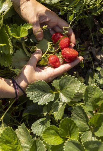 Domaine de la Bretesche