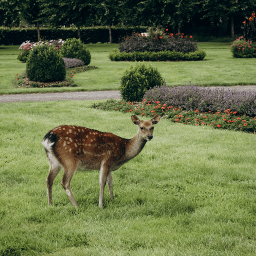 Domaine de la Bretesche