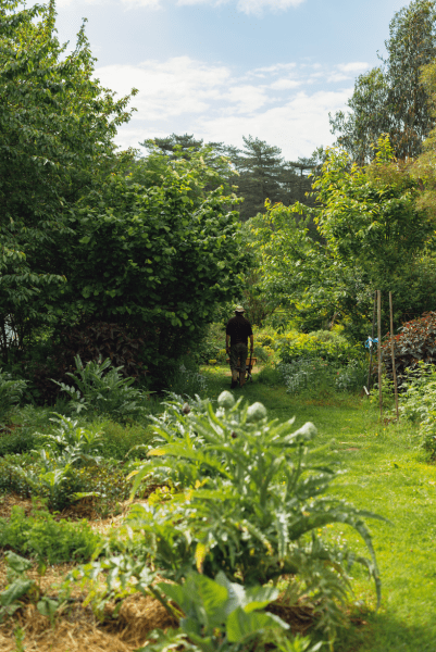 les ateliers adultes du potager