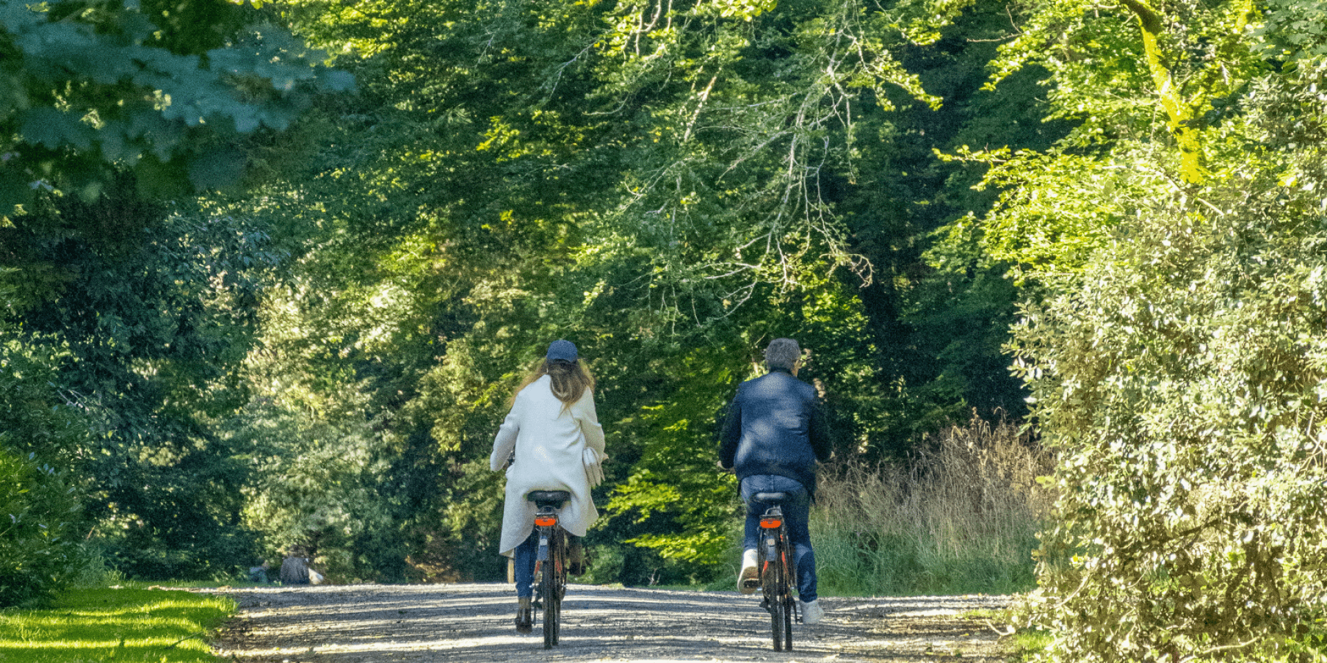 Vélo Domaine de la Bretesche